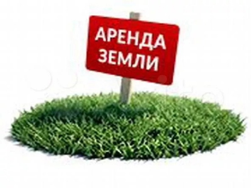 Предоставление земельных участков в аренду.