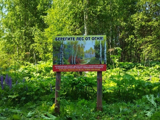 За нарушение правил пожарной безопасности в лесах предусмотрены штрафы.