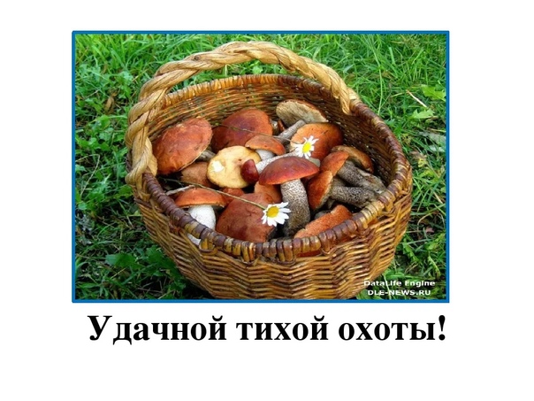 В Кировской области начался сезон тихой охоты.