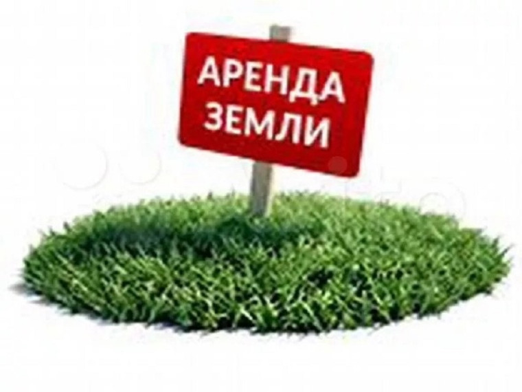 Предоставление земельных участков в аренду. Предоставление земельных участков в аренду.