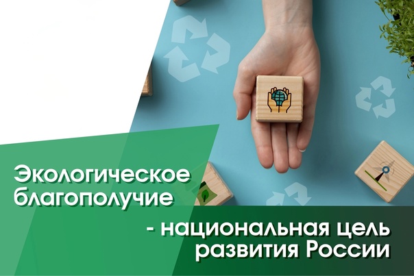 Экологическое благополучие. Экологическое благополучие.